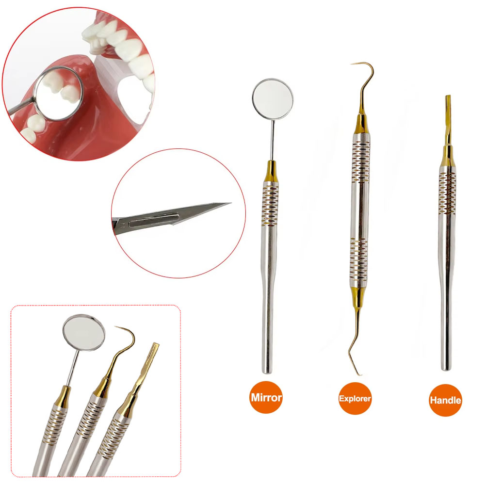 Premium Stainless Steel Dental - Dental Mirror Probe recension och pris